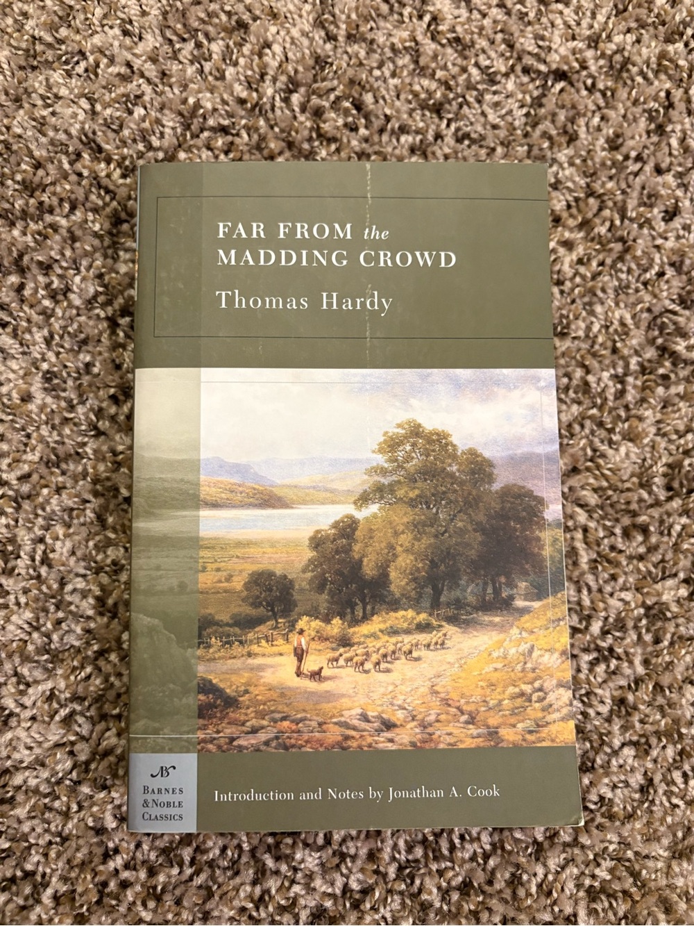 Far From the Madding Crowd by Thomas Hardy book